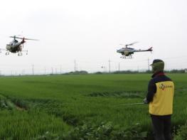 CJ프레시웨이, 계약재배 농가에 항공방제 지원 기사 이미지